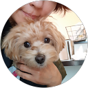 Noko Kazu profile picture