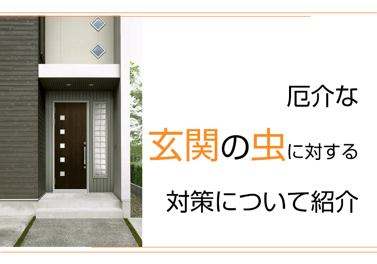 厄介な玄関の虫に対する対策について紹介