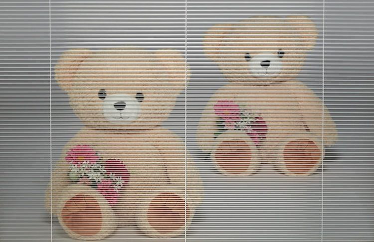 浴室のブラインド入りガラス
