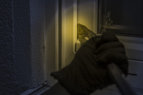 burglar-1678883_960_720