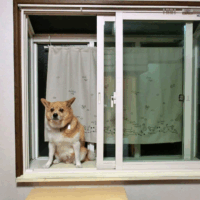 【内窓14カ所】補助金活用で断熱＆防音対策！ペットも安心の丁寧施工｜2026年先進的窓リノベ事業へ向けて