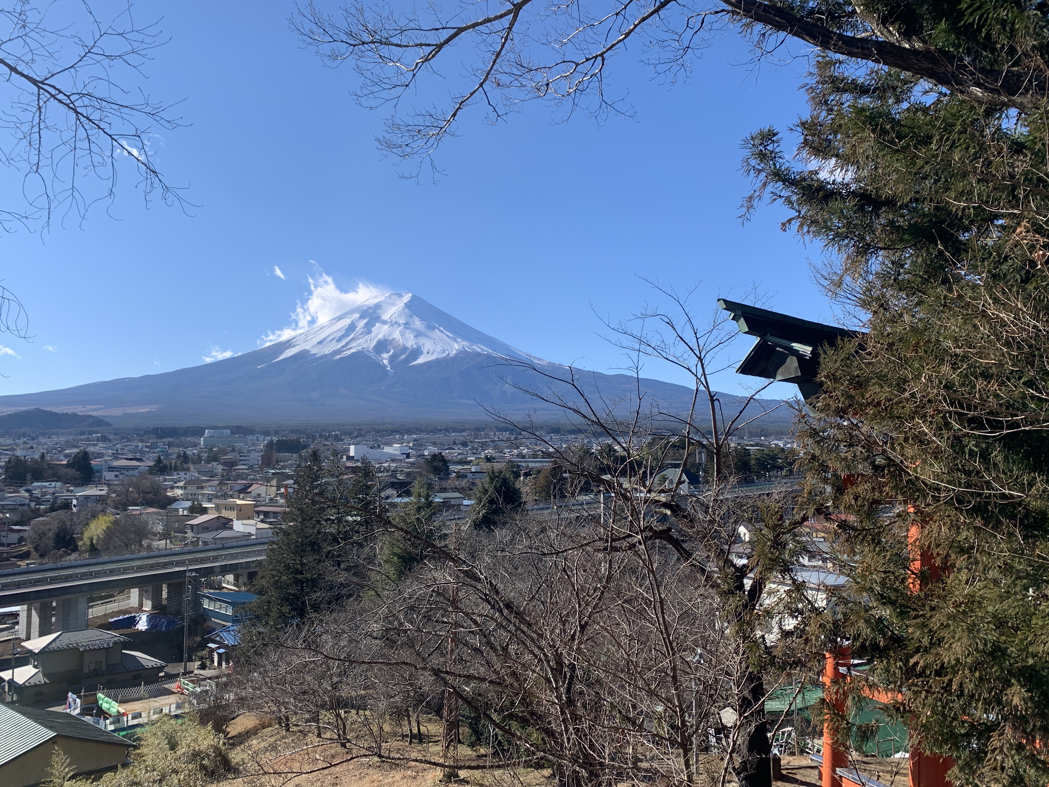 新年あけましておめでとうございます【マイスター社長ブログ】