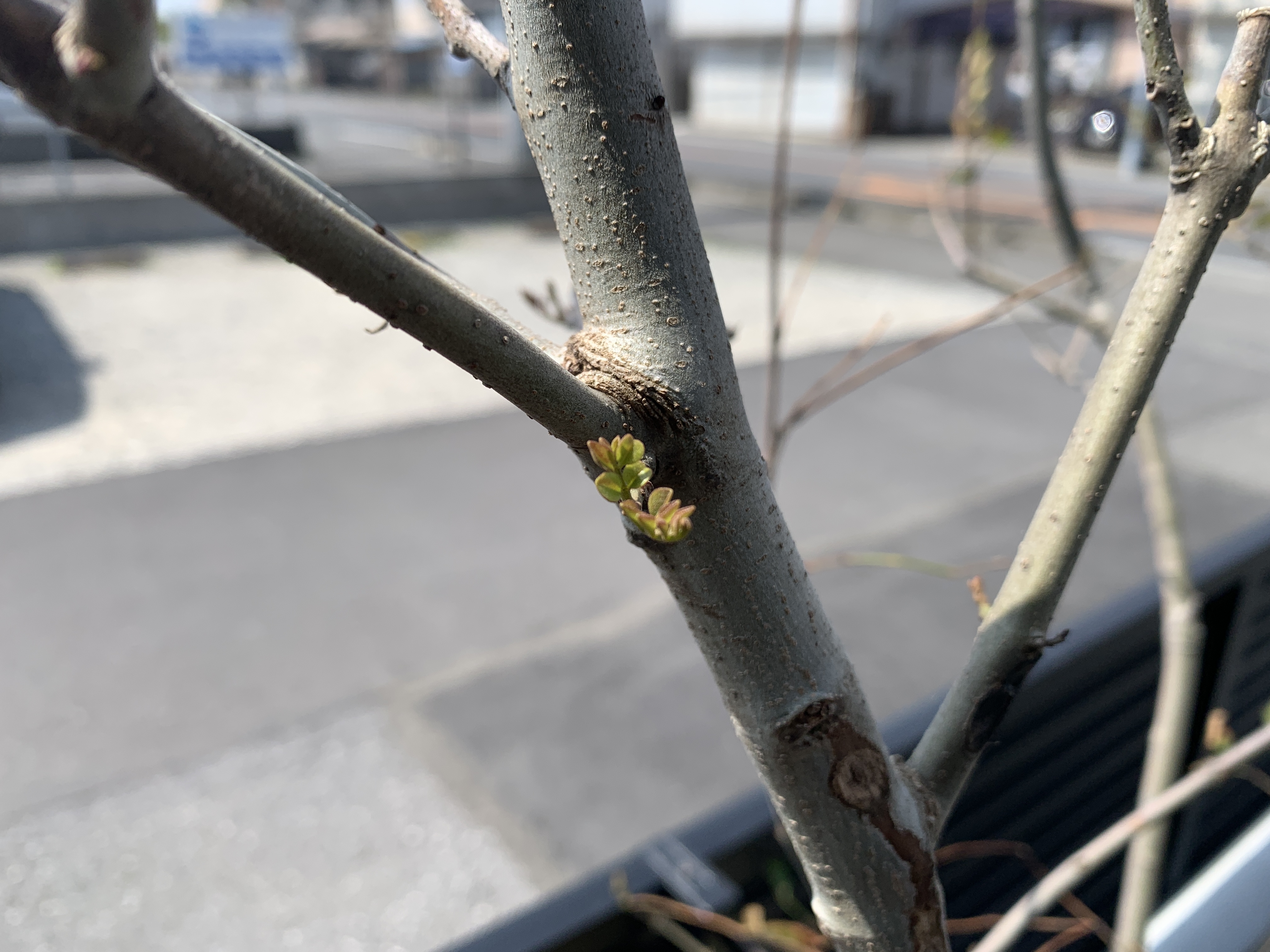 本日は、さいたま市、船橋市、横浜市で工事です