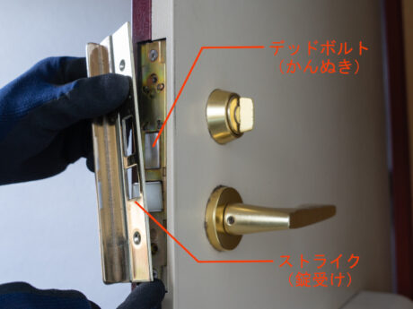 ドアの部材（ストライクとデッドボルト）